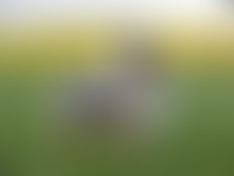 La Primavera ha llegado!