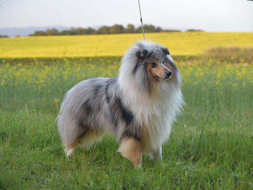 La Primavera ha llegado!