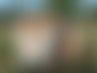 Importancia de una correcta alimentación para tu perro