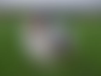 7 Complementos para la salud del Rough Collie