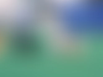 ¿Qué son las exposiciones caninas?