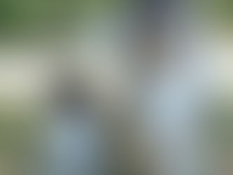 Rough Collie vs Shetland Sheepdog (Sheltie)