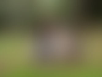 Cepillar vs Deslanar