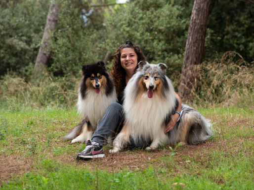 Cepillar vs Deslanar