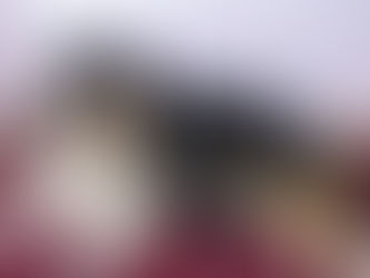 Nacimiento camada Karissa x Napo