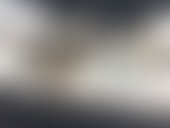 La vida con un Rough Collie