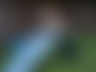 Como hacer una empalizada para cachorros