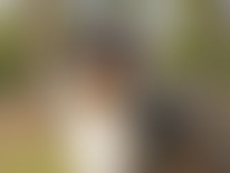 El LOE y El Pedigree