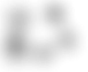 Perros de raza collie