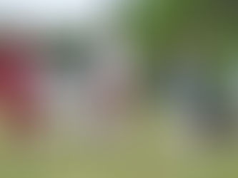 ¿Qué tan importantes son las exposiciones caninas para un criador?