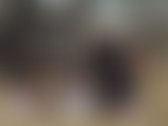 ¿Cómo funcionan las finales de las exposiciones caninas?