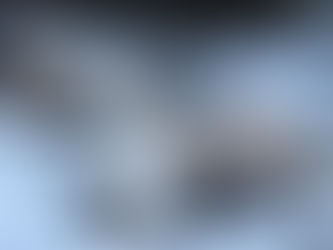 6 Alimentos tóxicos para perro