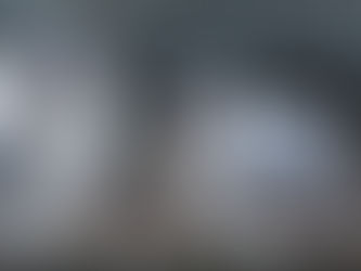 Dieta blanda para perros