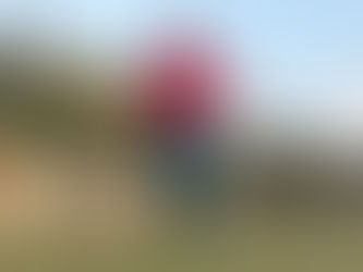 El loco mundo del Agility