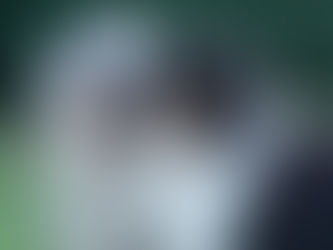 ¿Porque identificar a mi perro?