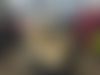 ¿Cómo funcionan las exposiciones Caninas?