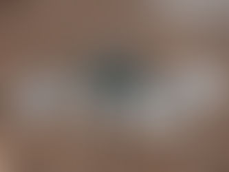 Las 4 mejores actividades para realizar con tu Collie