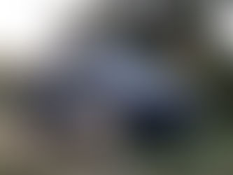 Consejos para viajar con tu perro